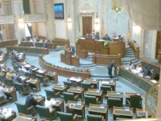 PNL a depus o coroană de flori în plenul Senatului